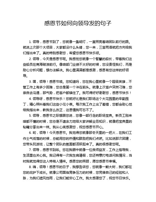 感恩节如何向领导发的句子