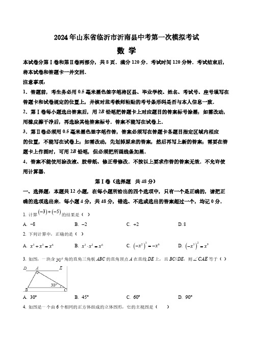 2024年山东省临沂市沂南县中考数学第一次模拟试题(含答案与解析)_2108