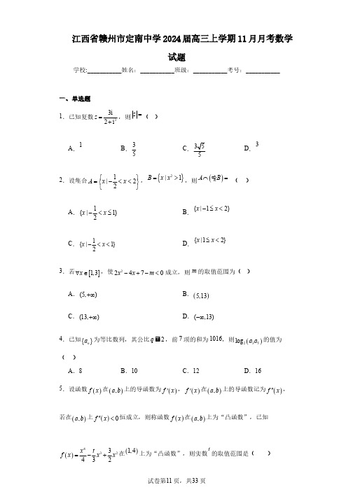 江西省赣州市定南中学2024届高三上学期11月月考数学试题