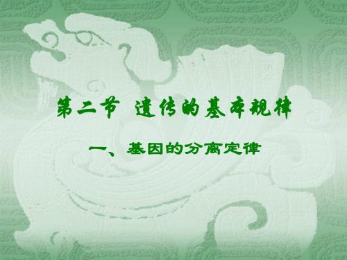 生物课件——遗传的规律-PPT精品文档43页