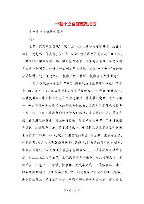 十破十立自查整改报告(精选多篇)