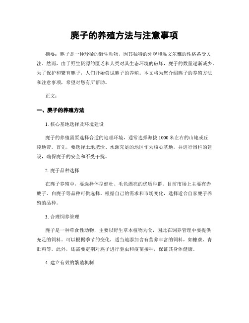 麂子的养殖方法与注意事项