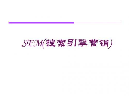 搜索引擎营销SEM1