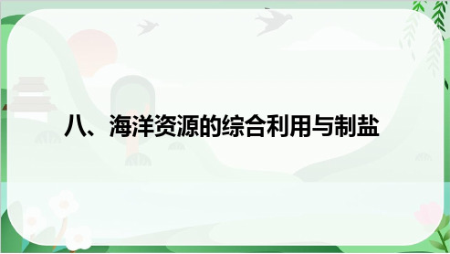 2025年中考化学总复习第三部分跨学科活动 八、海洋资源的综合利用与制盐