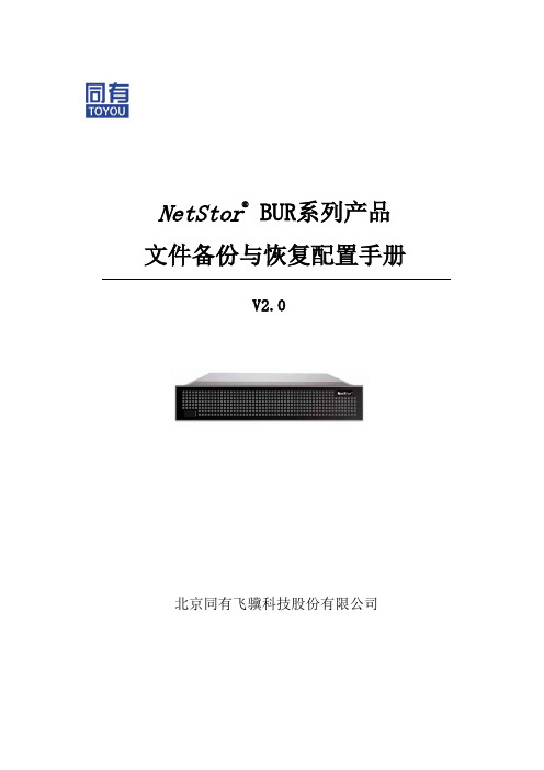 第三部分：NetStor BUR 文件备份与恢复配置手册