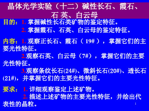 晶体光学实验(十三)钾长石类白云母等