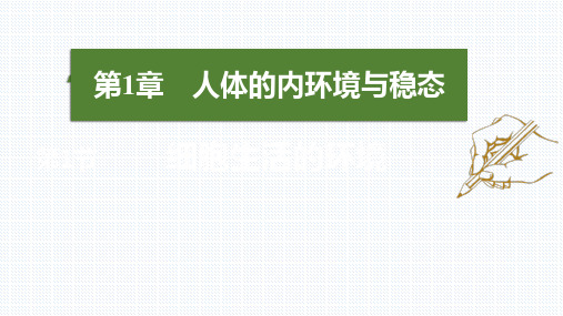 【公开课】细胞生活的环境高二上学期生物人教版选择性必修1