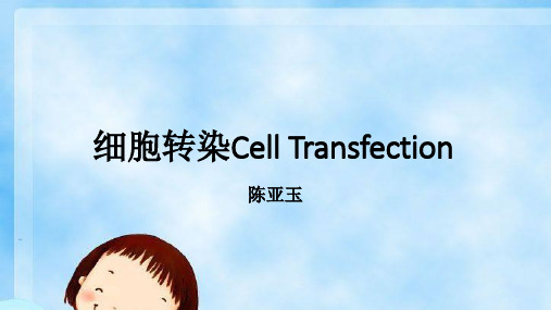 细胞转染Cell Transfection