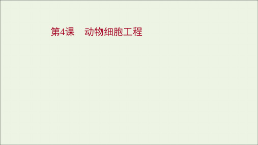 2022年新教材高考生物一轮复习第十单元生物技术与工程第4课动物细胞工程课件新人教版20210602