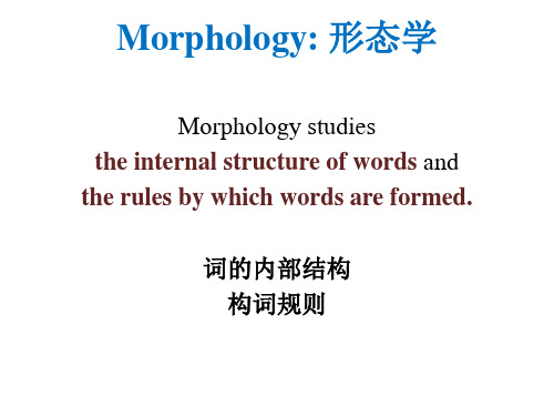 morphology