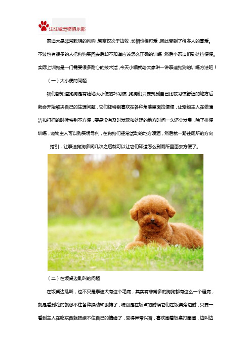 泰迪狗狗的训练方法有哪些
