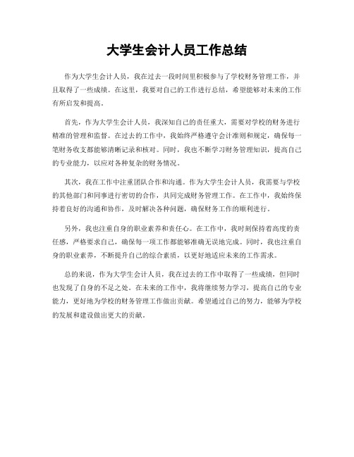 大学生会计人员工作总结