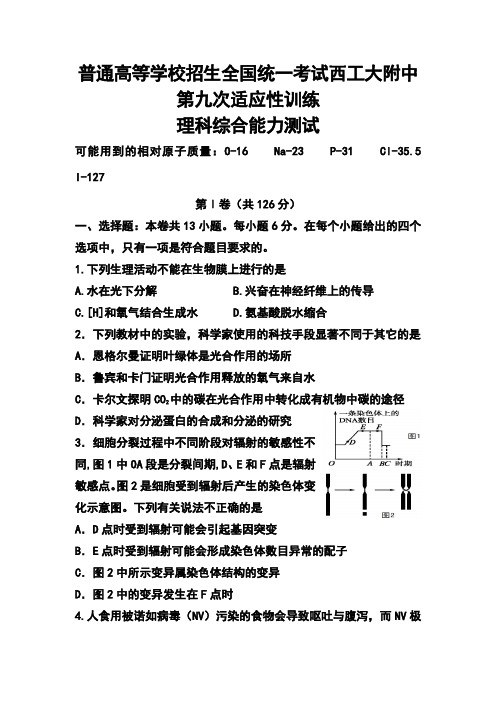 2017届陕西省西工大附中高三下学期第九次适应性训练理科综合试题及答案