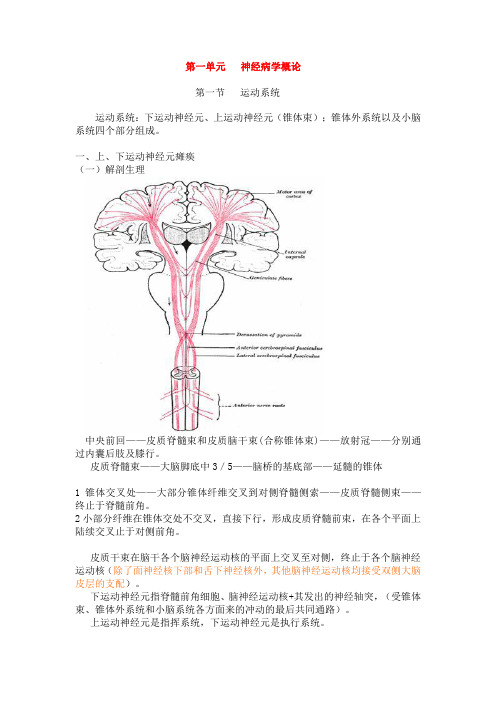 执业医师-神经病学