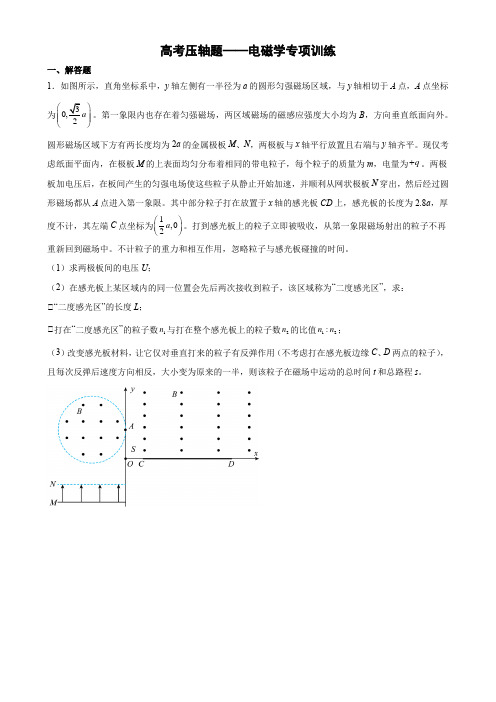 高考压轴题——电磁学大题专项训练(学生版)