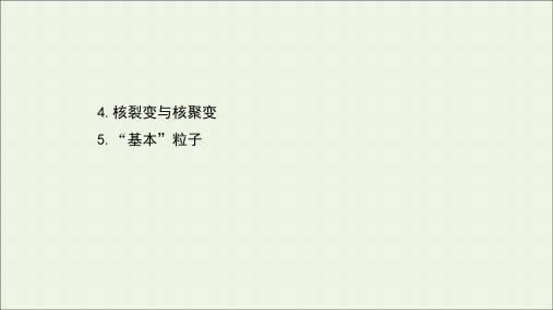 高中物理第五章原子核4_5核裂变与核聚变“基本”粒子课件新人教版选择性必修3