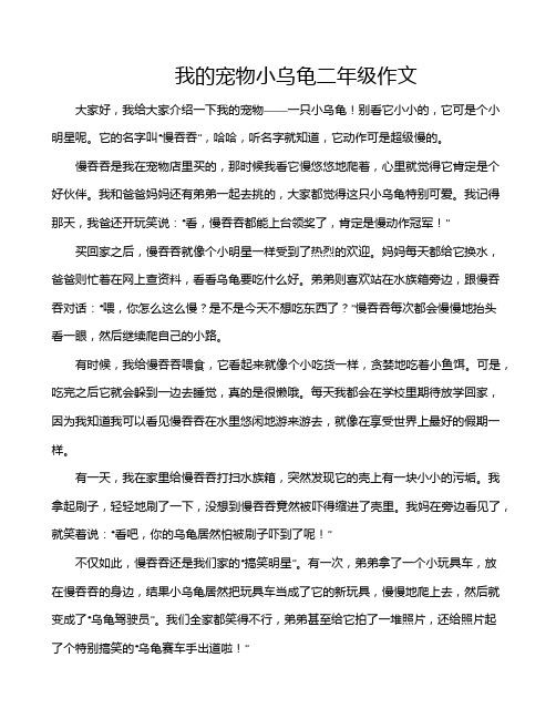 我的宠物小乌龟二年级作文