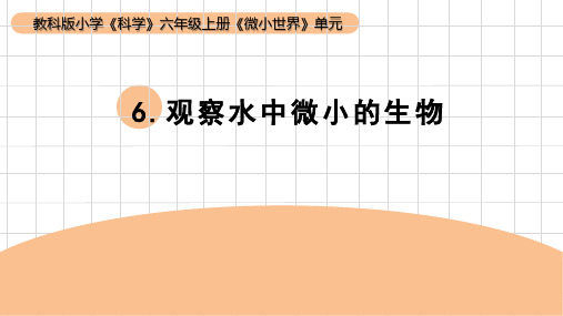 教科版六年级科学上册 第6课：《观察水中微小的生物》(课件)