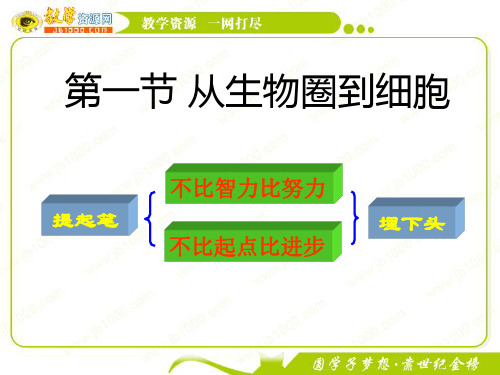 生物：1.1《从生物圈到细胞》课件3(新人教版必修1)