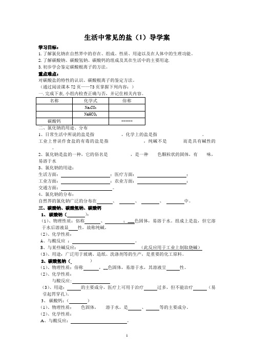 11.1生活中常见的盐(1)