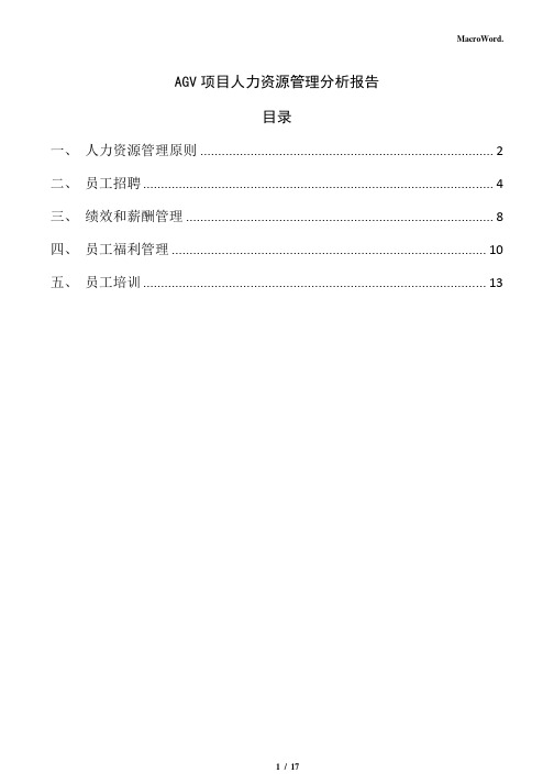 AGV项目人力资源管理分析报告(范文参考)