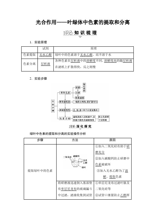 苏教版必修一 光合作用——叶绿体中色素的提取和分离 学案