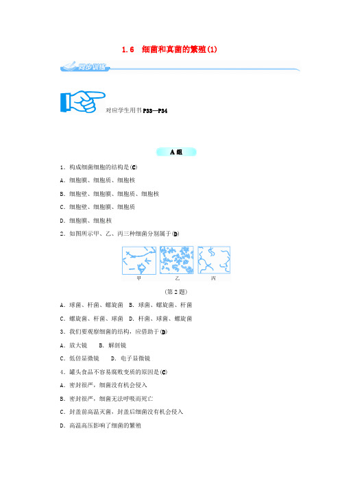 七年级科学下册1.6细菌和真菌的繁殖1同步练习新版浙教版20170725162