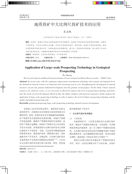 地质找矿中大比例尺找矿技术的应用