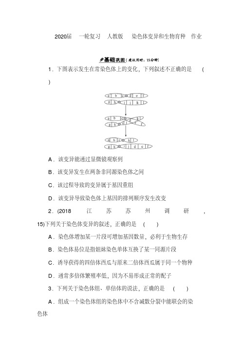 2020届一轮复习人教版染色体变异和生物育种作业.doc