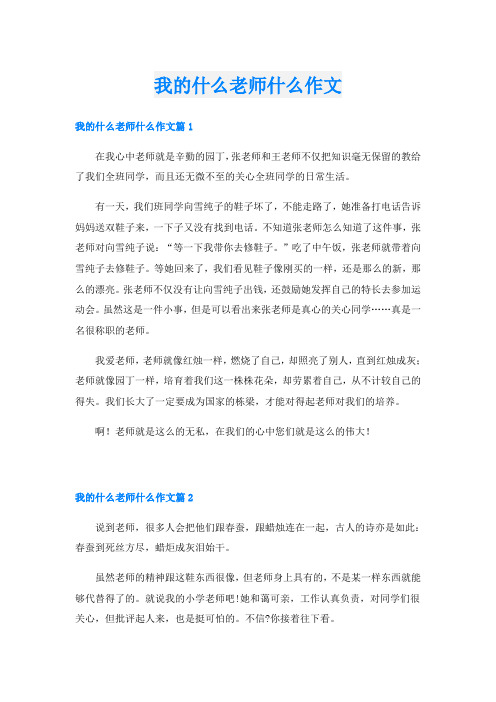 我的什么老师什么作文