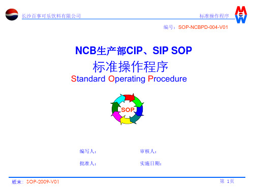 NCB线CIP,SIP操作程序04