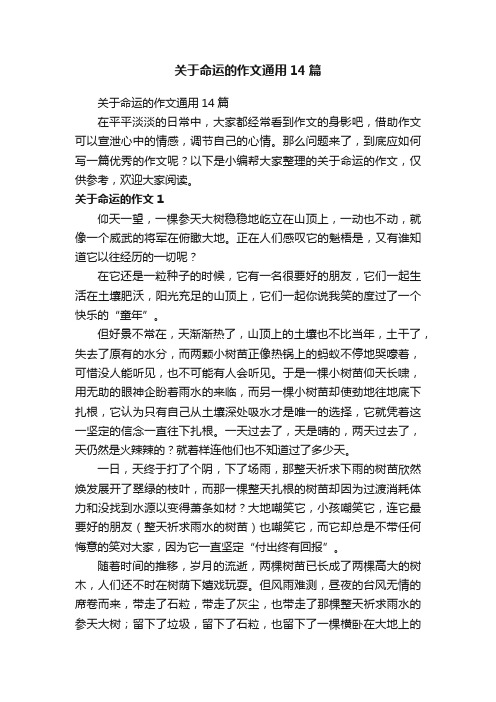 关于命运的作文通用14篇