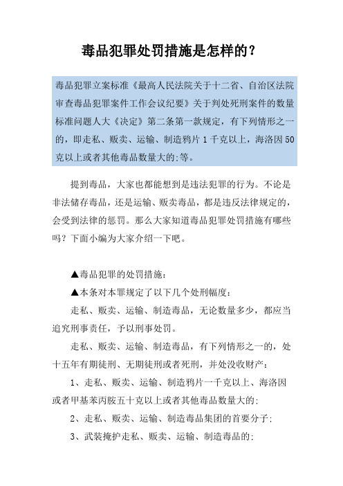 毒品犯罪处罚措施是怎样的？