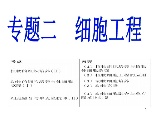 细胞工程PPT教学课件