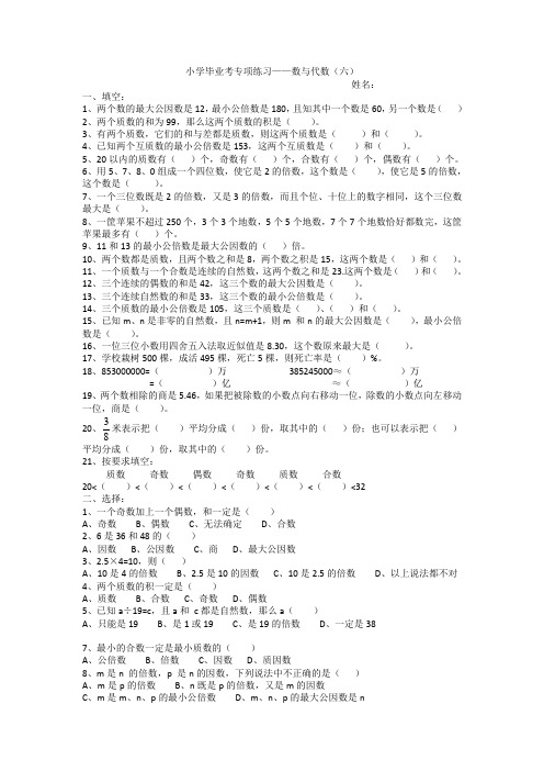 数与代数-数的认识(试题)六年级下册数学人教版