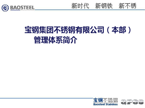 宝钢集团不锈钢管理系统简介