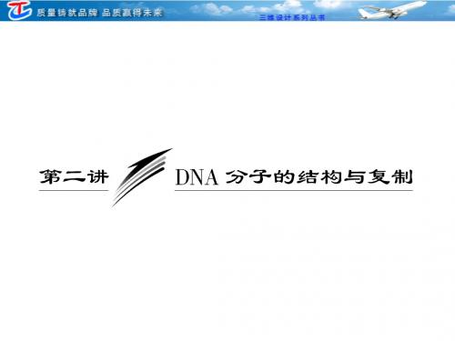 三维设计高中生物必修② 第三单元  第二讲  DNA分子的结构与复制