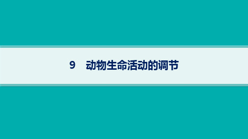 2024届高考二轮复习生物课件(新教材) 动物生命活动的调节