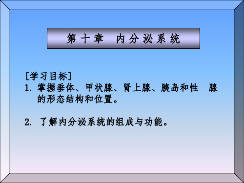 人体解剖学-内分泌系统ppt课件