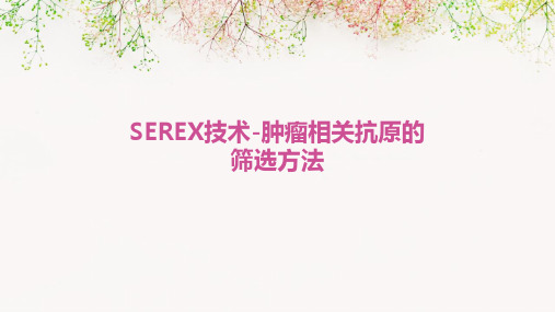 SEREX技术-肿瘤相关抗原的筛选方法