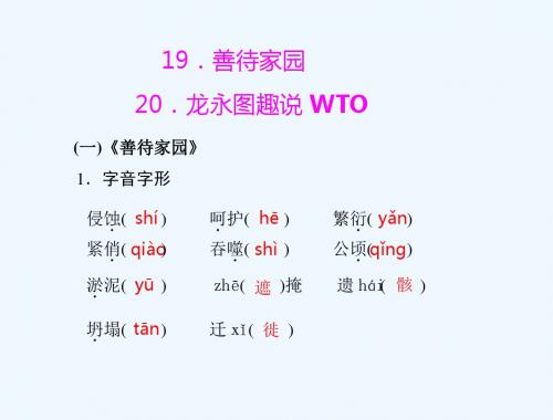 年《极限突破》语文新课标语文版九年级下册第五单元19.善待家园20.龙永图趣说WTO[配套课件]