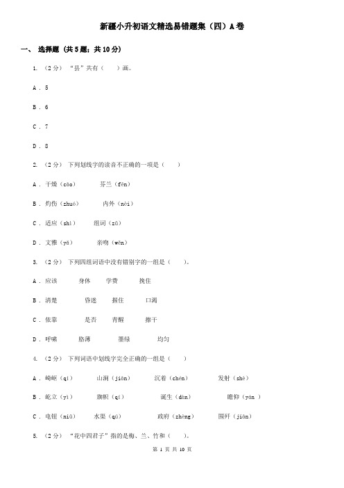 新疆小升初语文精选易错题集(四)A卷