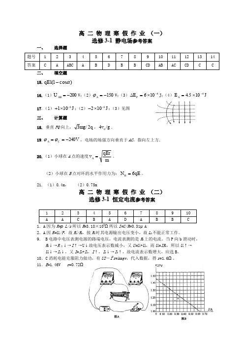 高二物理寒假作业参考答案