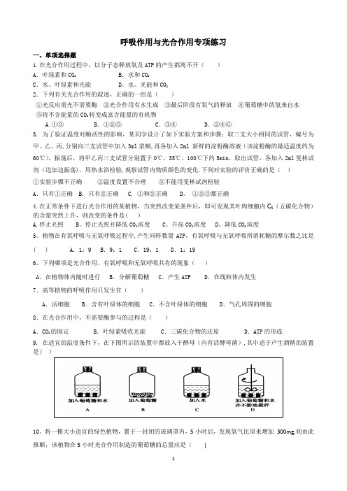 呼吸作用与光合作用专项练习及答案