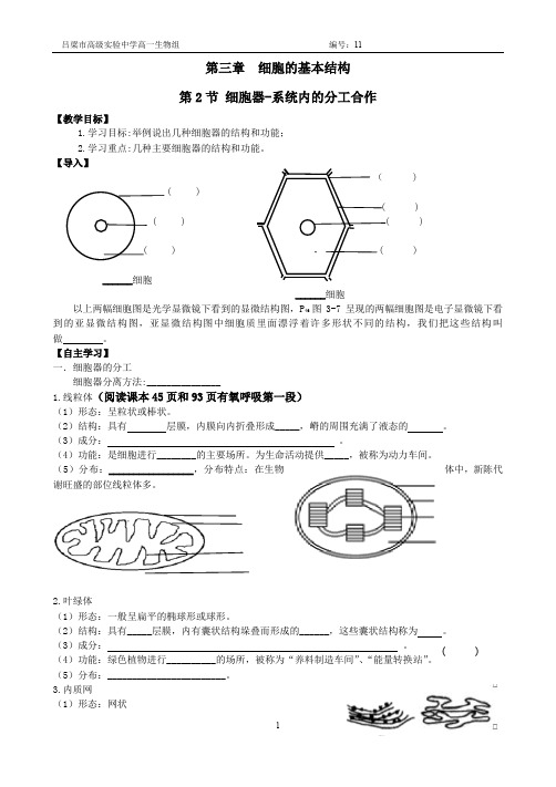 3-2细胞器学案