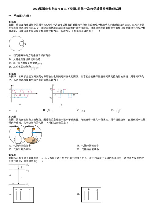 2024届福建省龙岩市高三下学期3月第一次教学质量检测物理试题