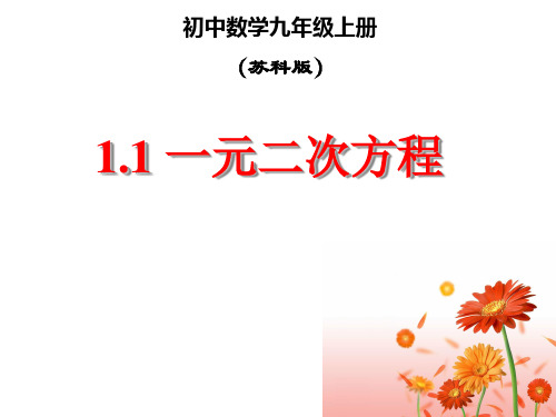 苏科版九年级数学上册全套教学课件