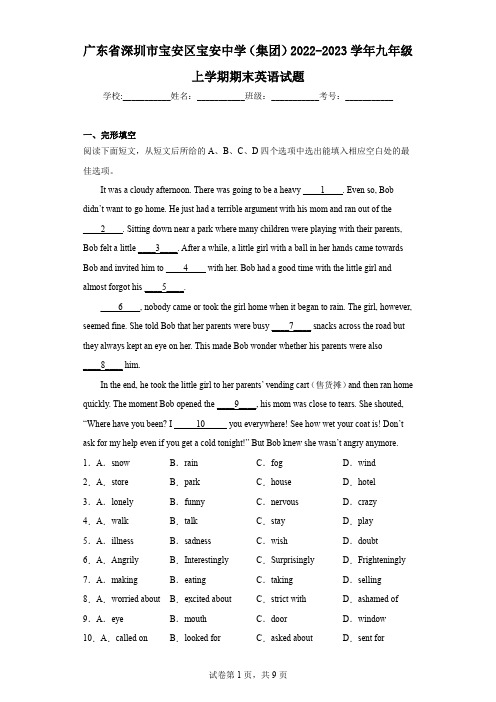 广东省深圳市宝安区宝安中学(集团)2022-2023学年九年级上学期期末英语试题