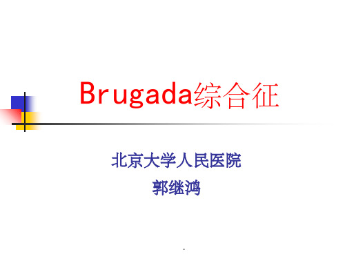 北大Brugada综合症