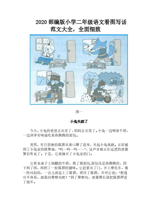 2020部编版小学二年级语文看图写话范文大全,全面细致